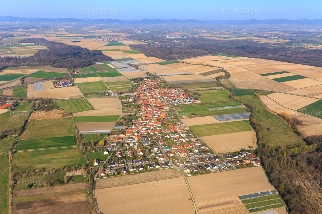 Luftbild: Ortsübersicht aus Osten in Erlenbach bei Kandel im Bundesland Rheinland-Pfalz in Deutschland. Foto: IMG_113324.jpg vom 30.03.2019 durch Werner Riehm/FLY-FOTO.de