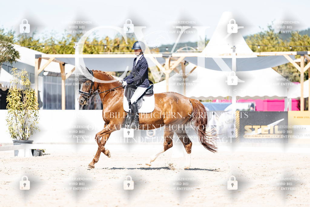 CK909331 | Turnierfotografie Pferdefotografie Trier Rheinland-Pfalz Pferdesport Reitsport Tierfotografie Sportfotografie Pferdevideo Pferdevideografie Equestrianvideography equestrianphotography  - Realisiert mit Pictrs.com