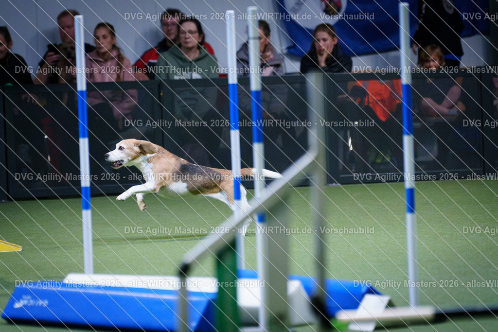 allesWIRTHgut_Tierfotografie-DVG_Agility_Masters_2026-14_50-7R505615 | Professionelle Tierfotografie in Mönchengladbach von Daniel Wirth (allesWIRTHgut). Liebevolle & natürliche Bilder von Hunden & Katzen für unvergessliche Erinnerungen.