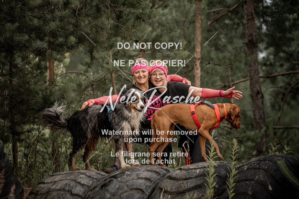 nelerasche_sa0800-1000_284 | nelerasche