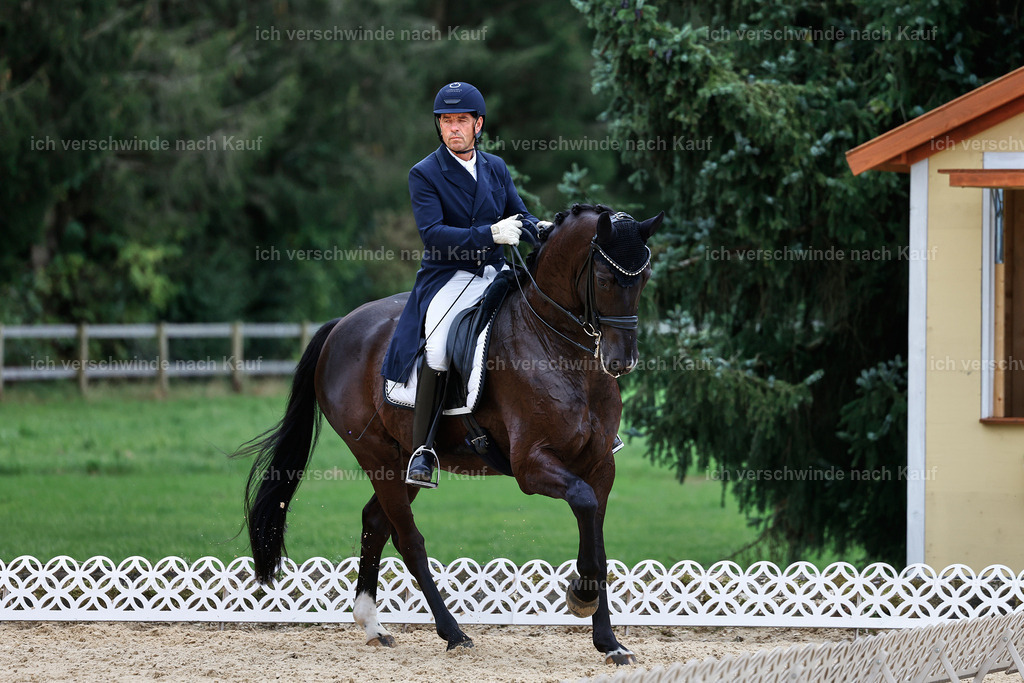 11-058-Dressur S___-StoibPH-1468 | working equitationturnier fotograf videograf stoibphotography marixx film working equitation deutschland reitsport turnierfotografie eventfotografie equestrian events