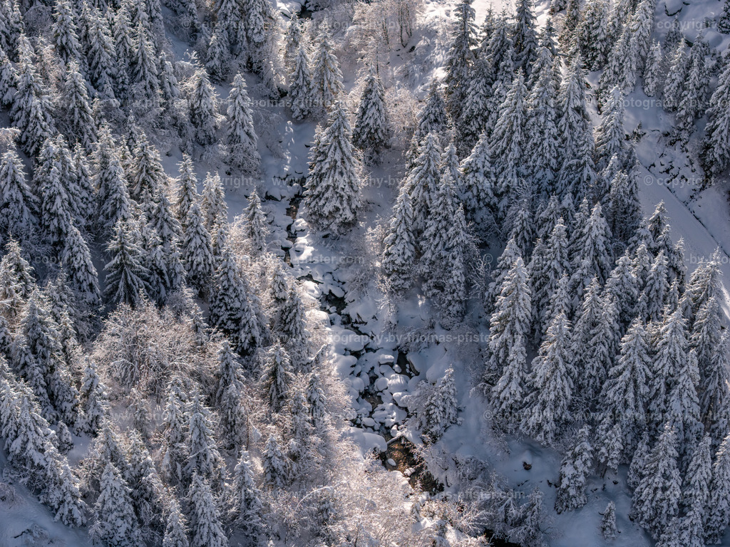  Hochfügen Winterwanderweg copyright  Thomas Pfister-3 | PHOTOGRAPHY BY THOMAS PFISTER