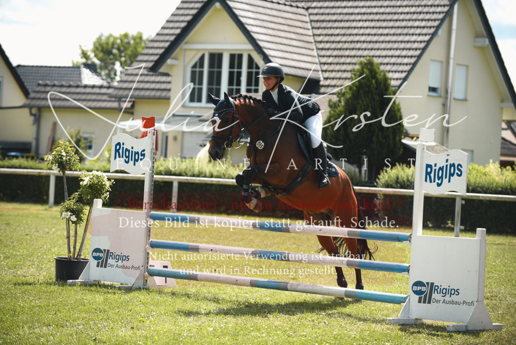 DSC_6458 | Pferde- und Turnierfotografie in Westsachsen. Pferdeportraits, Auftragszeichnungen und intuitive Kunst.