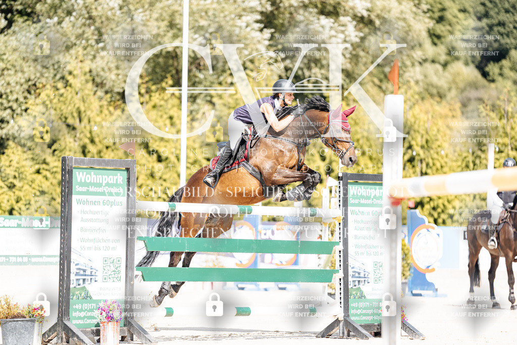 CK908754 | Turnierfotografie Pferdefotografie Trier Rheinland-Pfalz Pferdesport Reitsport Tierfotografie Sportfotografie Pferdevideo Pferdevideografie Equestrianvideography equestrianphotography  - Realisiert mit Pictrs.com