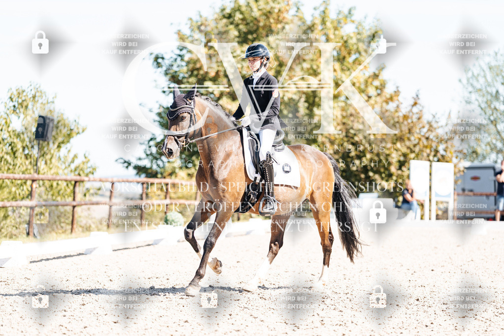 CK909665 | Turnierfotografie Pferdefotografie Trier Rheinland-Pfalz Pferdesport Reitsport Tierfotografie Sportfotografie Pferdevideo Pferdevideografie Equestrianvideography equestrianphotography  - Realisiert mit Pictrs.com