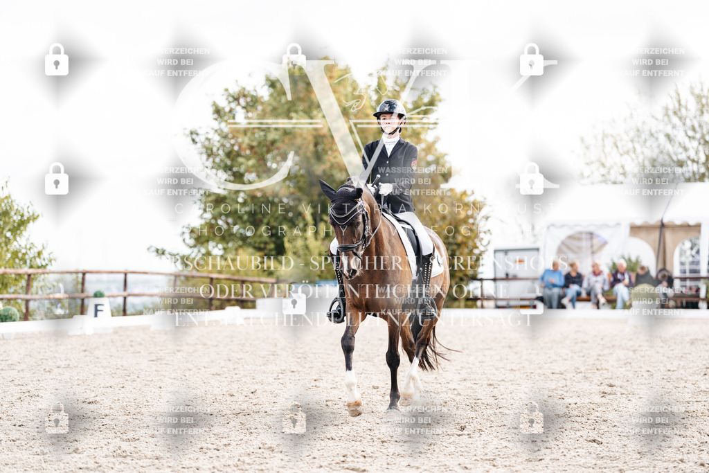 CK901605 | Turnierfotografie Pferdefotografie Trier Rheinland-Pfalz Pferdesport Reitsport Tierfotografie Sportfotografie Pferdevideo Pferdevideografie Equestrianvideography equestrianphotography  - Realisiert mit Pictrs.com