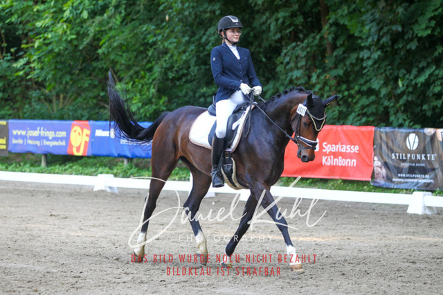 DKP42979 | Turniersportfotografie; Pferdefotografie; Dressurfotografie