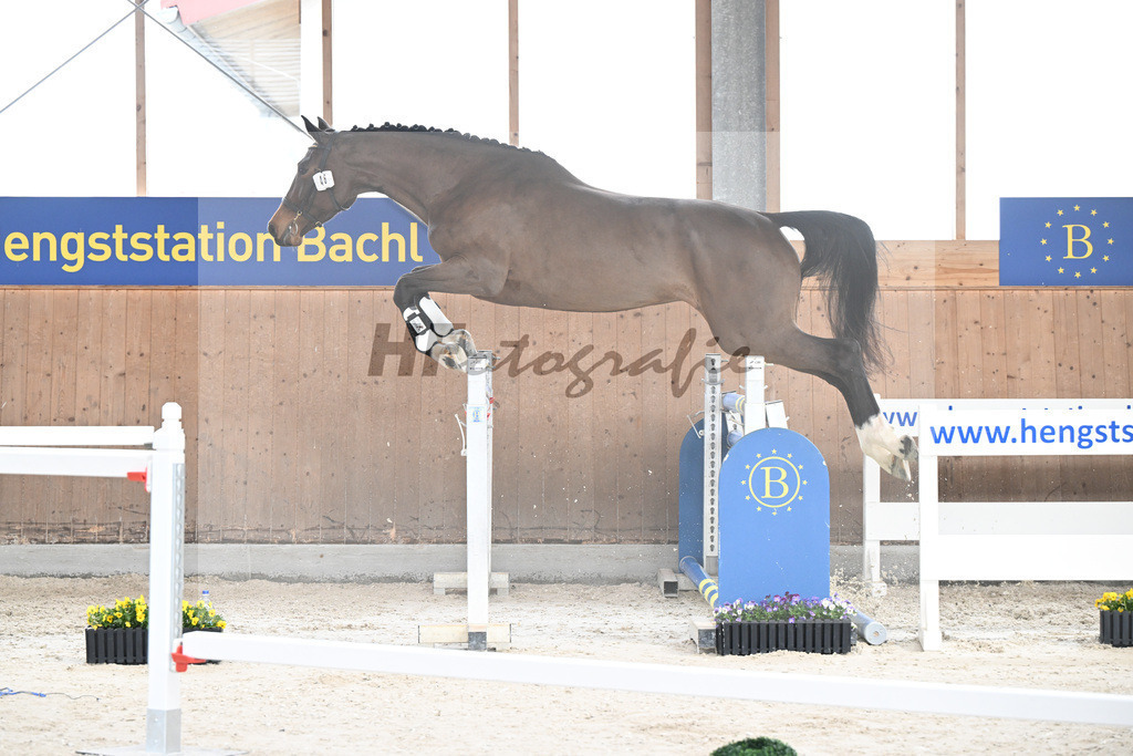 Kat-Nr. 46 Kanada v. Keaton_Schroeder-Schnell_5250533 | hf-fotografie - Realisiert mit Pictrs.com