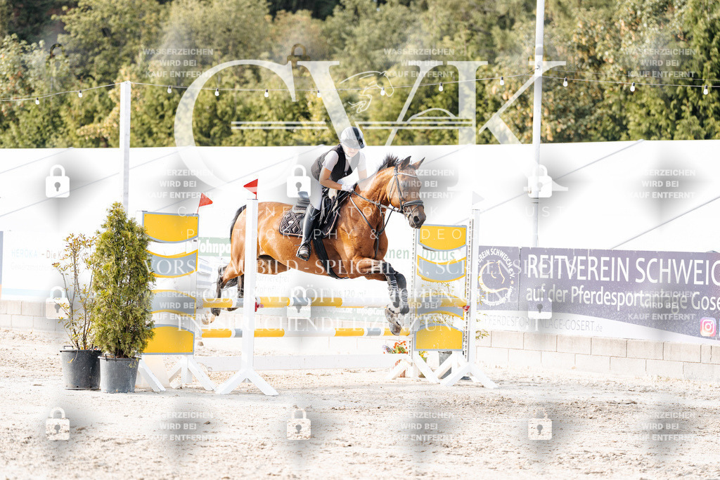 CK906898 | Turnierfotografie Pferdefotografie Trier Rheinland-Pfalz Pferdesport Reitsport Tierfotografie Sportfotografie Pferdevideo Pferdevideografie Equestrianvideography equestrianphotography  - Realisiert mit Pictrs.com