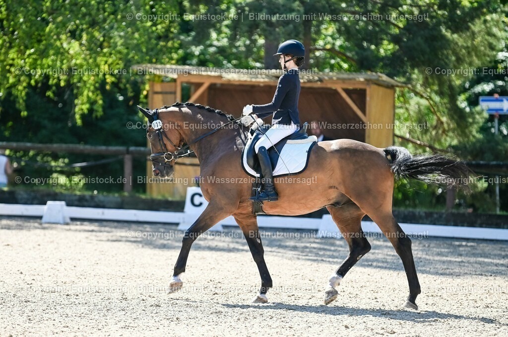 20230908_06_Dressur-L-Trense_0295 | equistock
