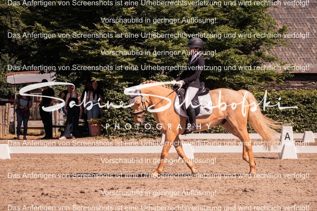 2025_05_31_DSCF3043 | People- und Tierfotografie, Imageaufnahmen, Veranstaltungsfotografie und Wandbilder aus der Natur ★ Made in Germany ✔️ Druck + Downloads ✔️ Naturfotografie in Top Qualität ★ schneller Versand, weltweite Lieferung! - Realisiert mit Pictrs.com