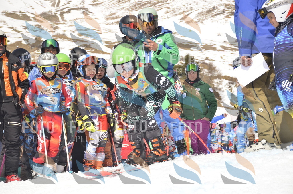 _ELE8449 | holidayphoto