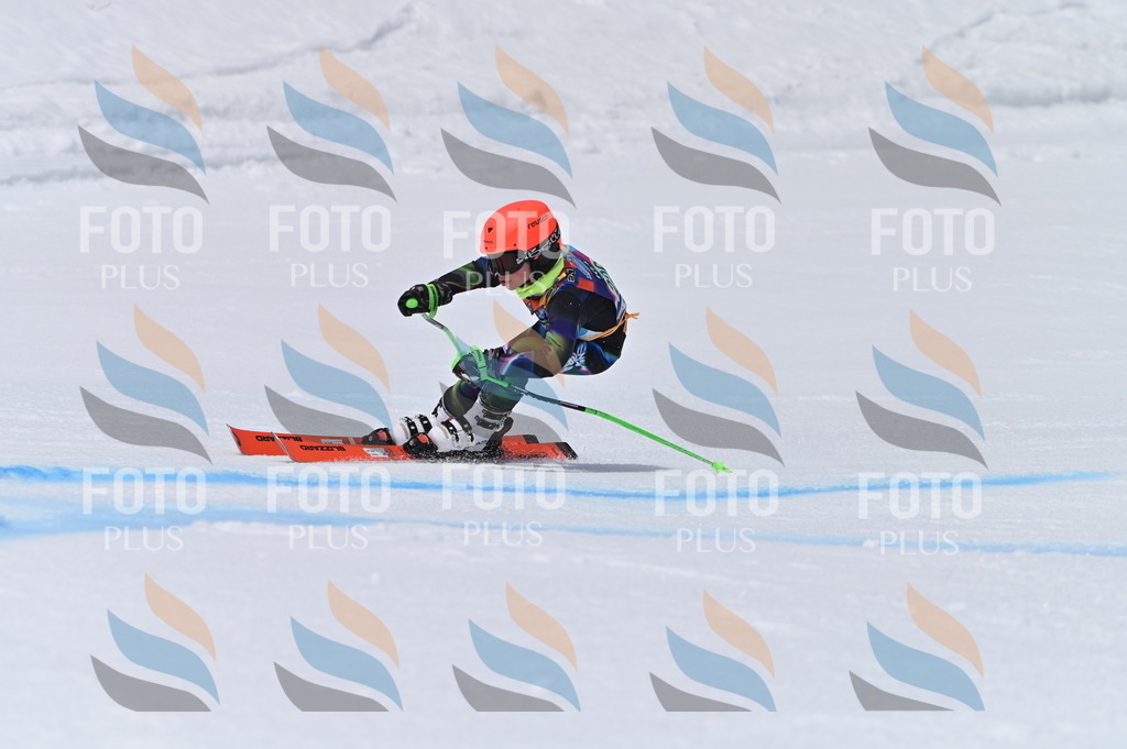 BGV_4464 | holidayphoto