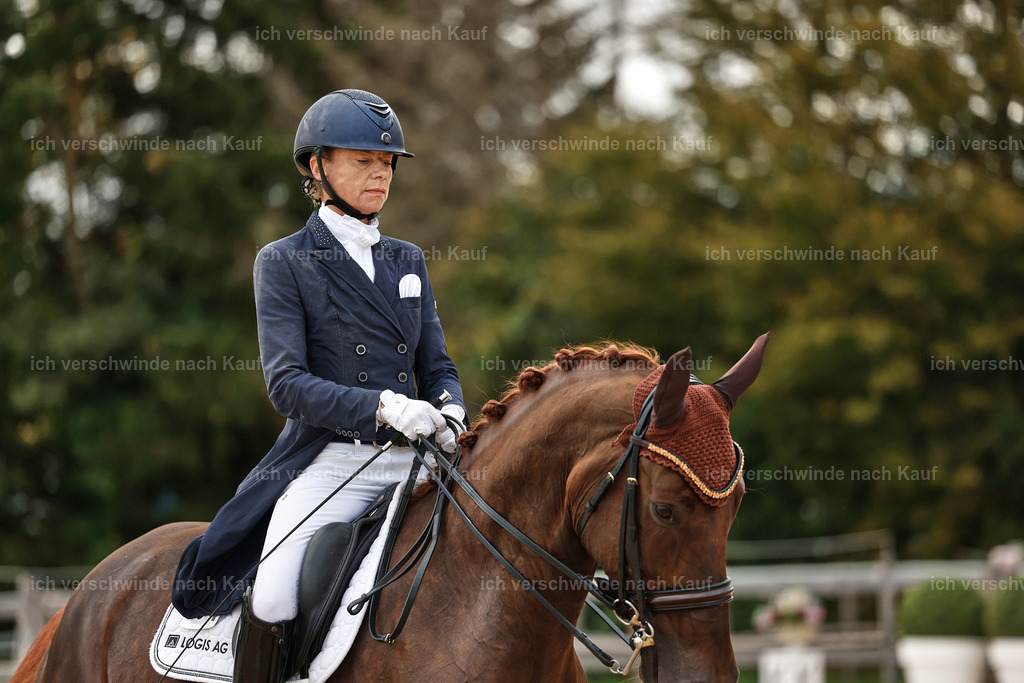 8_1-094-Klasse S_  -StoibPH-3845 | working equitationturnier fotograf videograf stoibphotography marixx film working equitation deutschland reitsport turnierfotografie eventfotografie equestrian events