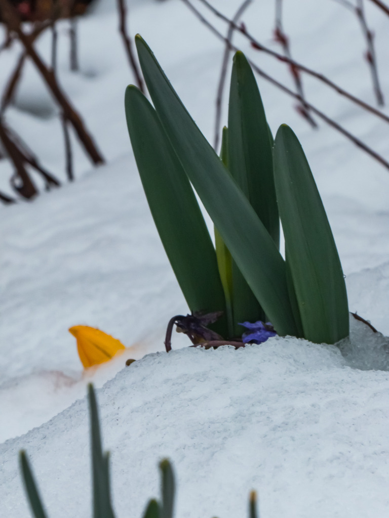 PSX_20230312_001938 | mtkfoto_ - Realisiert mit Pictrs.com