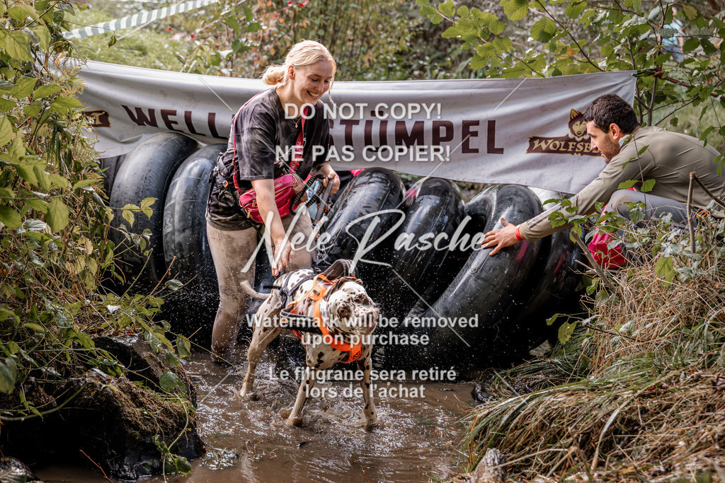 nelerasche_Hunsrück2026_Sa1400-1500_200 | nelerasche