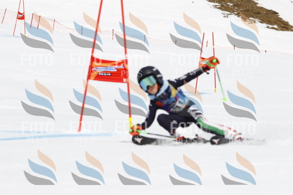 _U3G5447 | holidayphoto