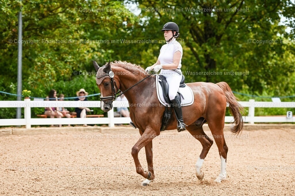 20230715_05_Dressurprüfung Kl.A++_0011 | equistock