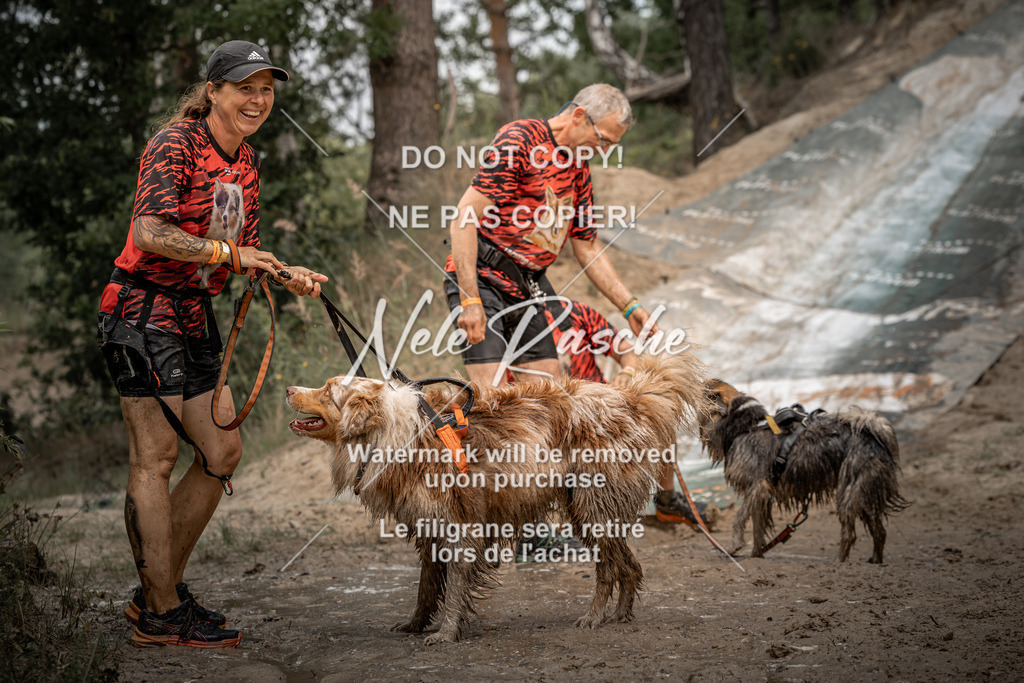 nelerasche_sa1300-1345_542 | nelerasche