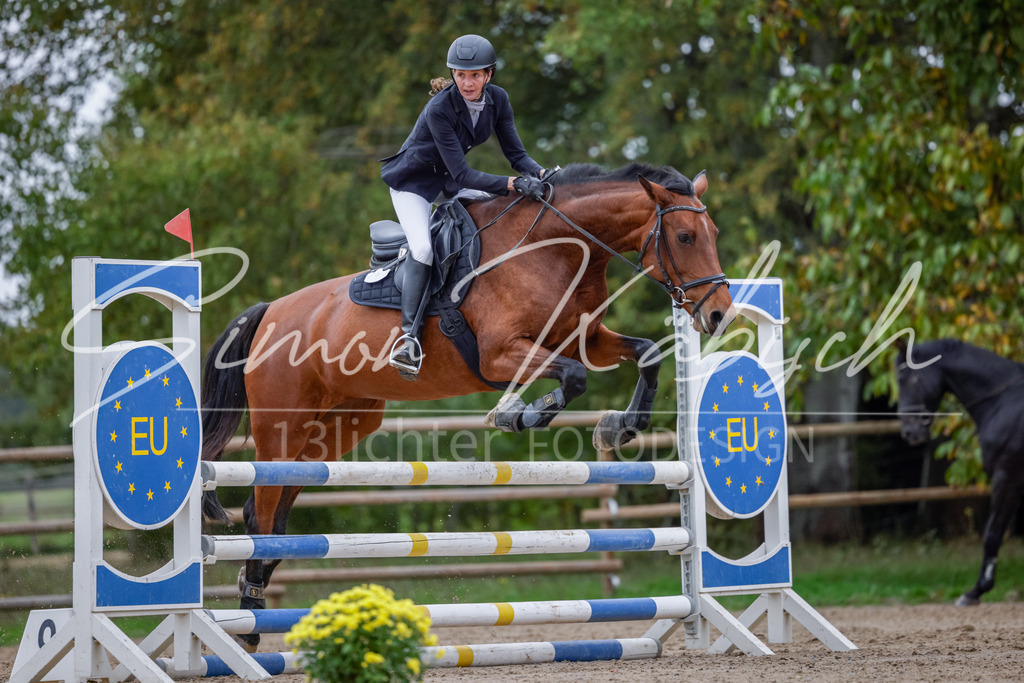 20251012-_3LI4489 | Tierfotografie Pferde, Hunde, Katzen, Haustiere.
Turnierfotografie Reitturniere, Reiten, Springreiten, Dressur in Hanau, dem Main-Kinzig-Kreis und dem Rhein-Main- Gebiet um Frankfurt