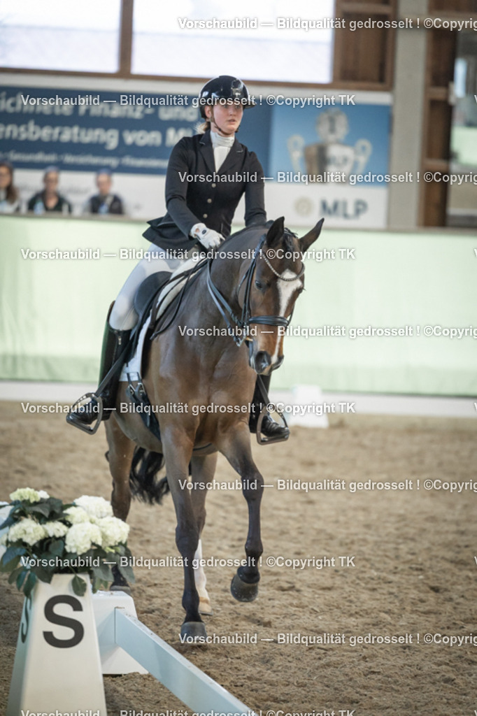 _D5A3433 | Emotionale Pferde- & People-Fotografie rund um Heidelberg, Leimen & Umgebung. Natürliche Fotos von Pferd, Mensch & Familie. Jetzt Termin sichern!