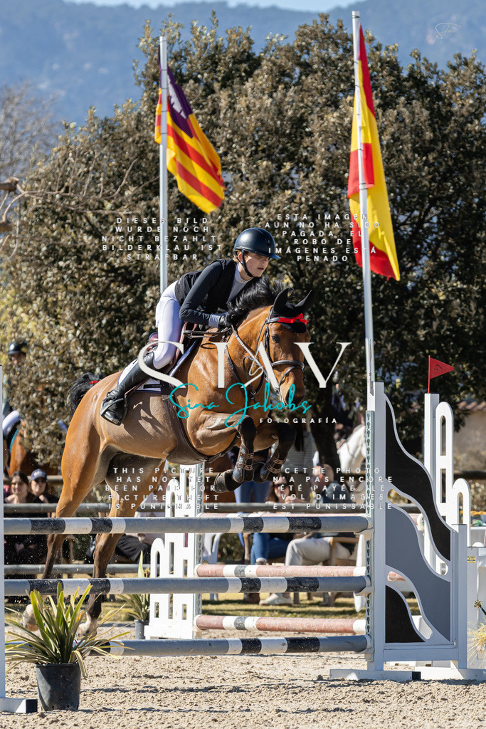 IMG_0886 | s-jay-photography - Realisiert mit Pictrs.com