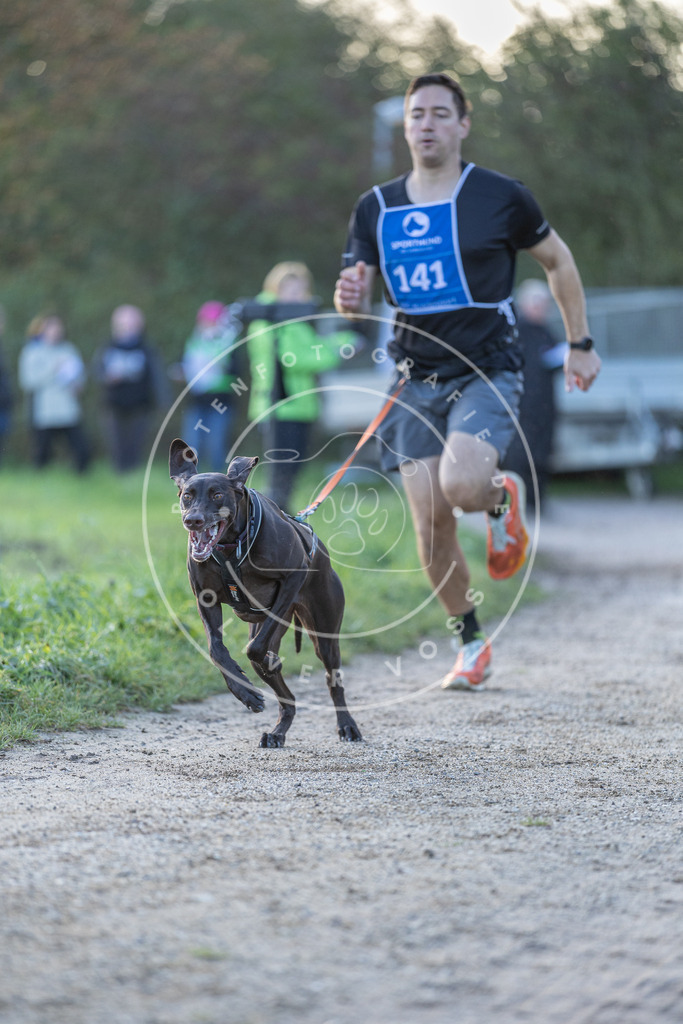 Pfotenfotografie.de_DV3A2821 | Hundefotografie, Tierfotograf, Pfotenfotografie, Fotoshooting Hund, Hunde Portrait, Hundesport, Hundeportraits, Heideshooting, Hunde, Sportfotograf, Hundefotograf, Turnierhundsport, THS, canicross - Realisiert mit Pictrs.com