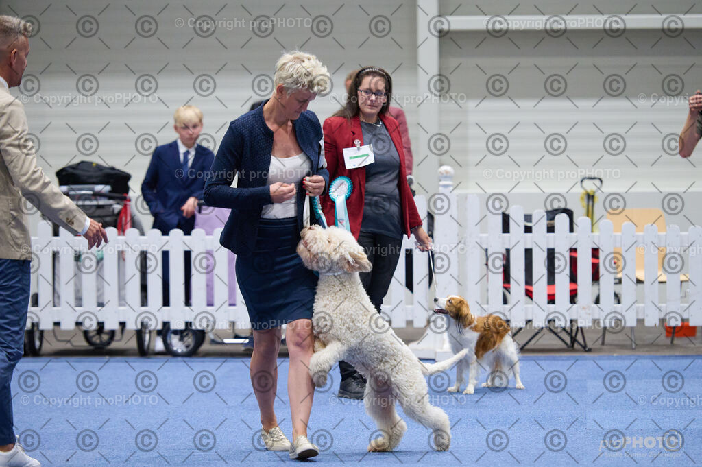 202406_ÖKV-IHA-Tulln24_DSC_3184 | proPHOTO - Realisiert mit Pictrs.com