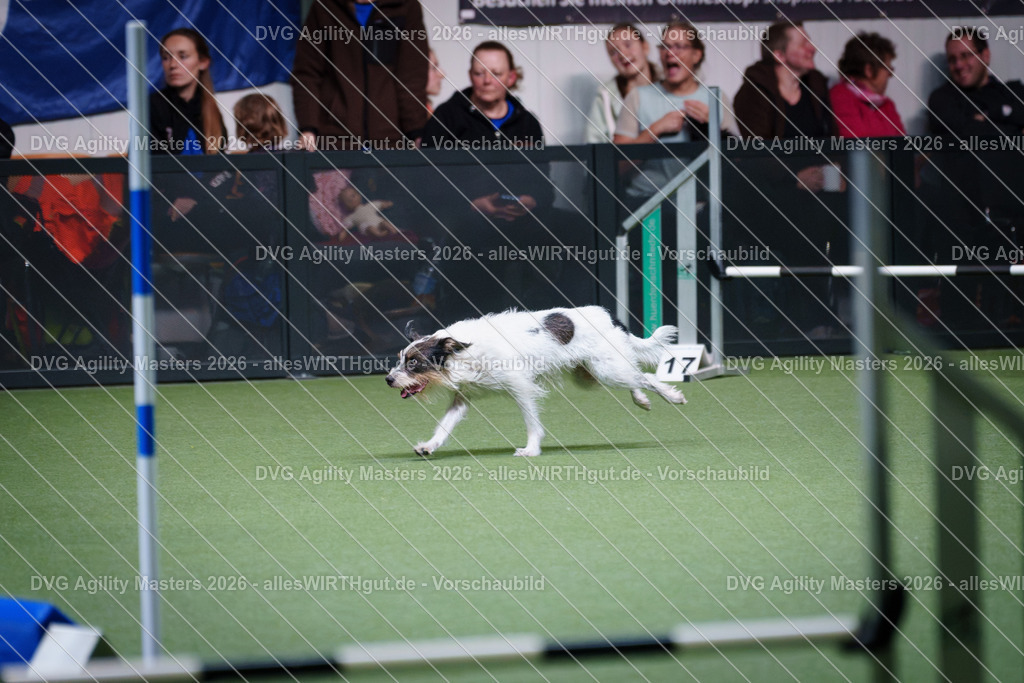 allesWIRTHgut_Tierfotografie-DVG_Agility_Masters_2026-15_02-7R505993 | Professionelle Tierfotografie in Mönchengladbach von Daniel Wirth (allesWIRTHgut). Liebevolle & natürliche Bilder von Hunden & Katzen für unvergessliche Erinnerungen.