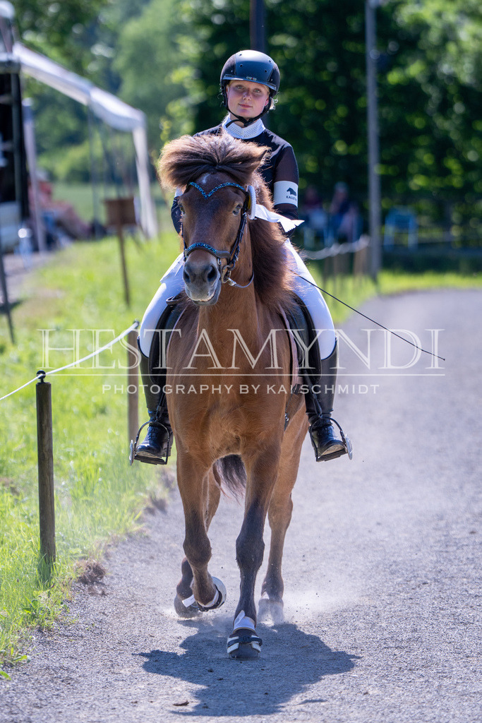 KAI00482 | Ihr sucht einen Fotografen für eure nächste OSI? Ich begleite auch euer Turnier für Islandpferde fotografisch.  - Realisiert mit Pictrs.com