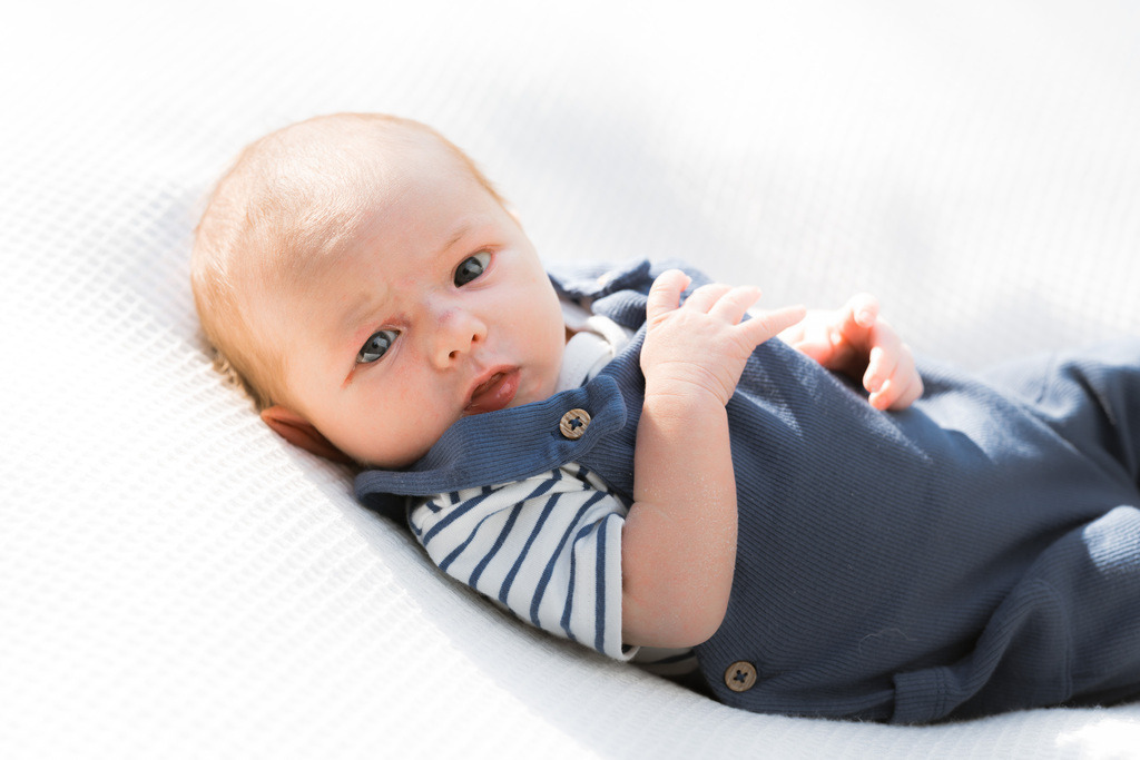 ZD260823180334 | Fotoshop von zweidimensional Fotografie. Ihr Fotograf im Aargau. Abzüge von Ihrem Fotobox Event bestellen.Abzüge von Ihrem Hochzeit bestellen.Abzüge von Ihrem Schulfotograf bestellen.