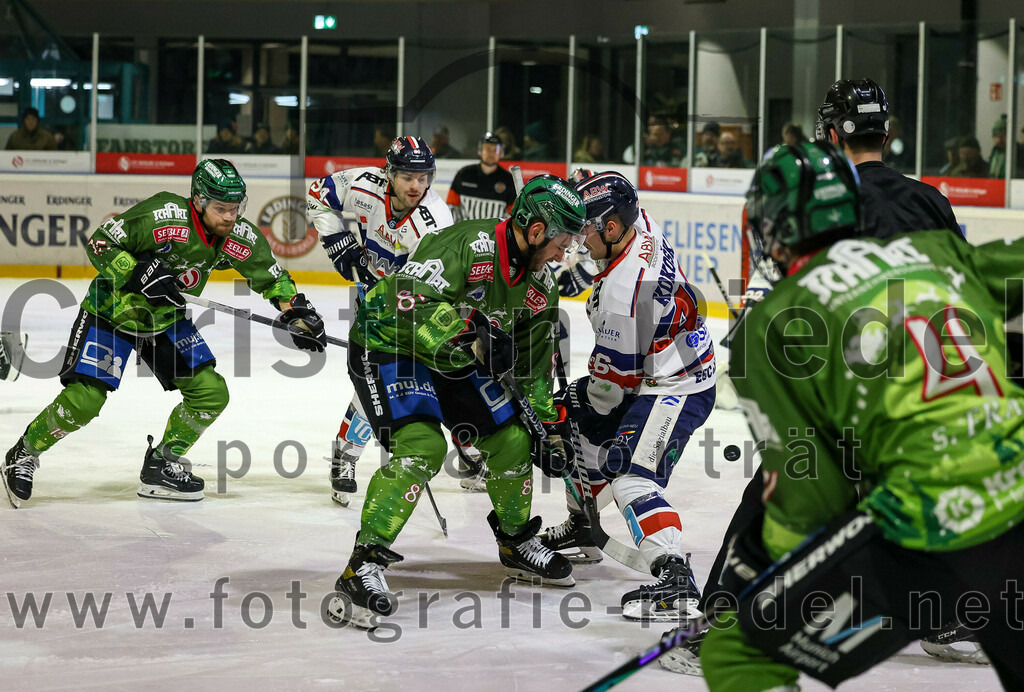 2023-12-17_096_TSV_Erding_gegen_ESC_Kempten | Erding, Deutschland, 17.12.2023:
Eishockey, Bayernliga Vorrunde 2023 / 2024, 18. Spieltag, TSV Erding gegen ESC Kempten, Endergebnis: 5:1

Maximilian Forster (Erding Gladiators, #81)

Foto: Christian Riedel / fotografie-riedel.net