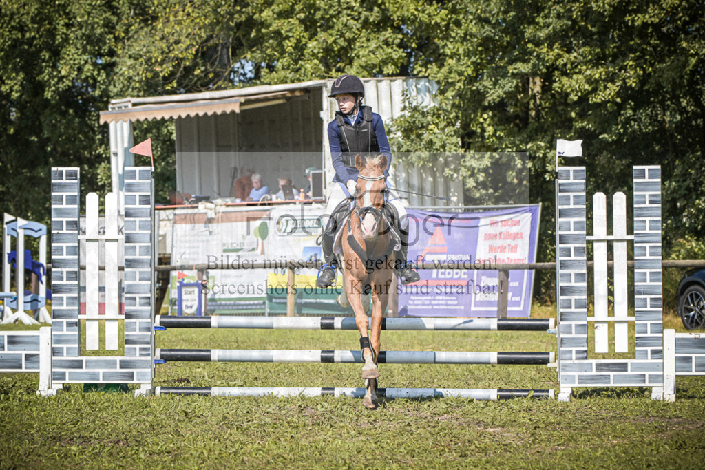 DOS_0280 | Entdecke hochwertige Reitturnierfotos von Foto Oger. Professionell, emotional und authentisch – jetzt Lieblingsmomente im Shop bestellen.Deutschlandweite Turnierfotografie. - Realisiert mit Pictrs.com