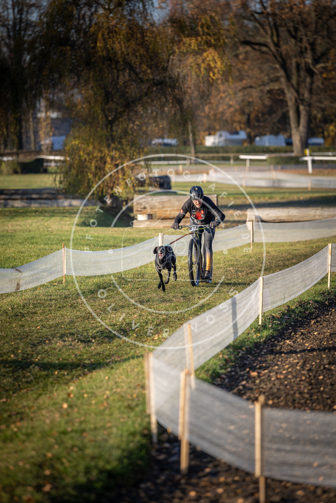 CaniXpix_DV3A0959 | Hundefotografie, Tierfotograf, Pfotenfotografie, Fotoshooting Hund, Hunde Portrait, Hundesport, Hundeportraits, Heideshooting, Hunde, Sportfotograf, Hundefotograf, Turnierhundsport, THS,  - Realisiert mit Pictrs.com