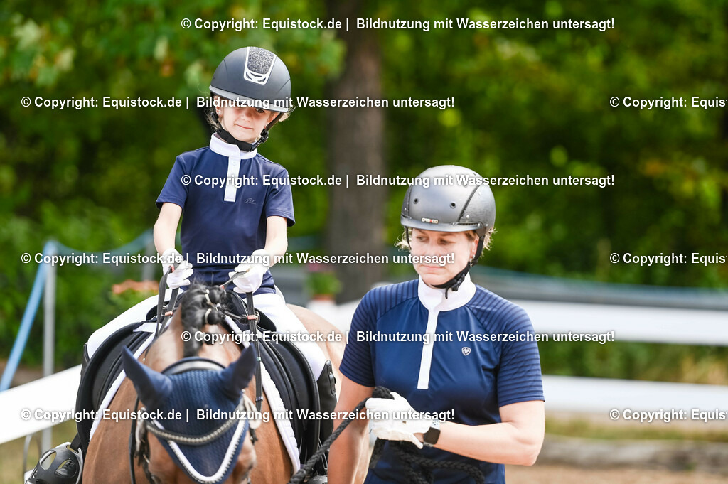 20230716_11_Führzügel-WB_0201 | equistock