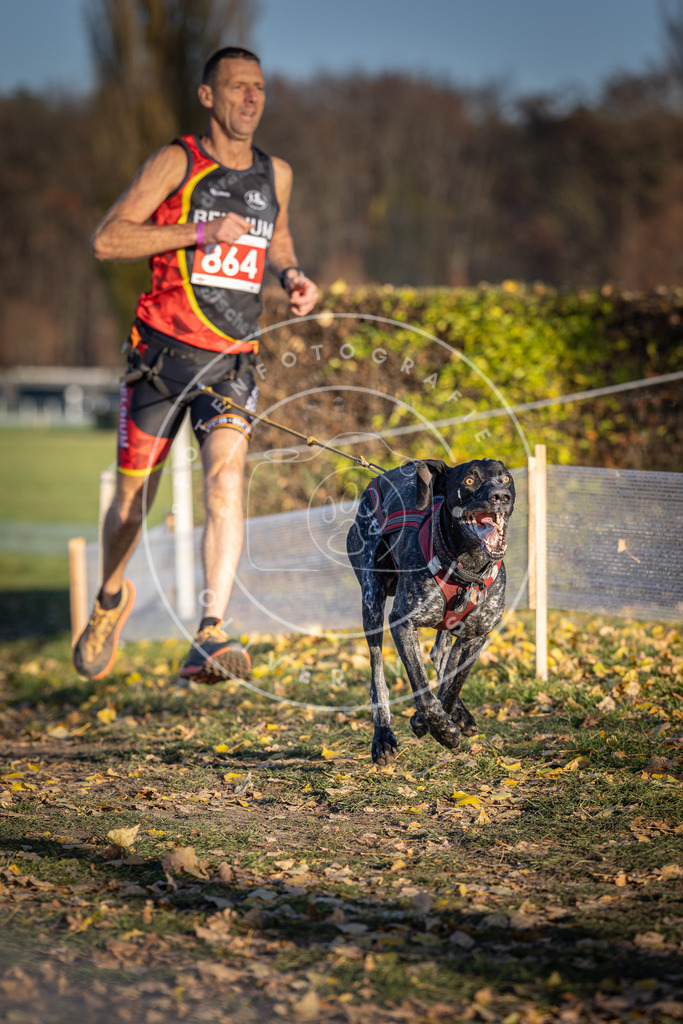 CaniXpix_DV3A4092 | Hundefotografie, Tierfotograf, Pfotenfotografie, Fotoshooting Hund, Hunde Portrait, Hundesport, Hundeportraits, Heideshooting, Hunde, Sportfotograf, Hundefotograf, Turnierhundsport, THS,  - Realisiert mit Pictrs.com