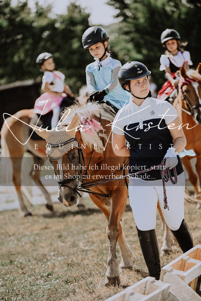 DSC_8968 | Pferde- und Turnierfotografie in Westsachsen. Pferdeportraits, Auftragszeichnungen und intuitive Kunst.