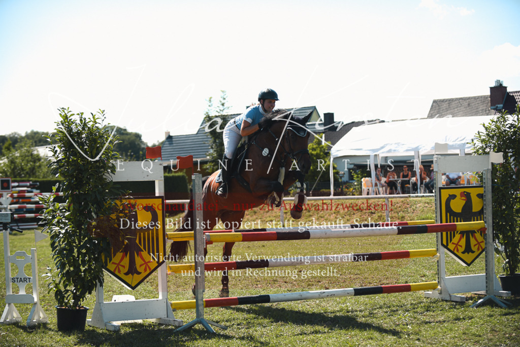 DSC_7160 | Pferde- und Turnierfotografie in Westsachsen. Pferdeportraits, Auftragszeichnungen und intuitive Kunst.