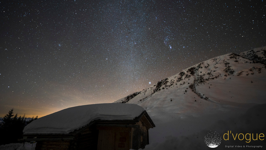 DSC00761 d_vogue | d-vogue - Realisiert mit Pictrs.com