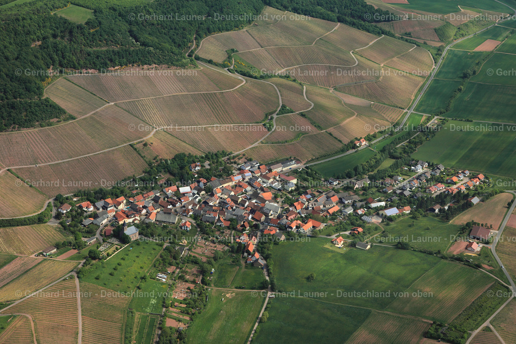 3107195 | Kirschroth