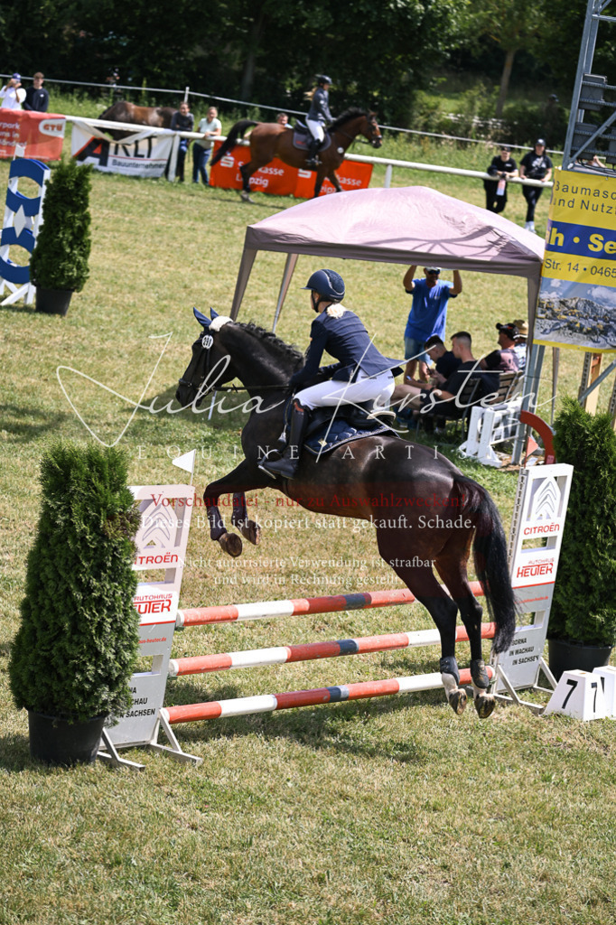 DSC_9459 | Pferde- und Turnierfotografie in Westsachsen. Pferdeportraits, Auftragszeichnungen und intuitive Kunst.