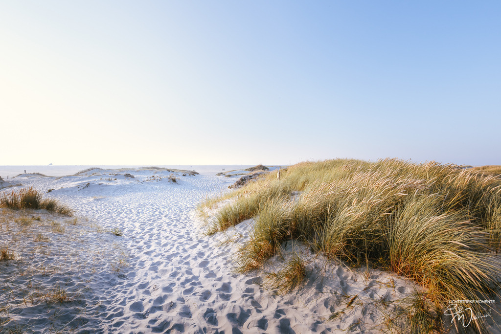 20200922 NORDSEE - SPO_Ording-Hungerhamm 038-1 | Herzlich willkommen auf meiner Seite! Ich bin Elke Wallnisch, Deine Fotografin für lichtstarke Momente. Der Name steht für alles, was mich mit der Fotografie verbindet: Das Licht und seine machtvolle Wirkung auf eine Situation oder unsere Stimmung - Realisiert mit Pictrs.com