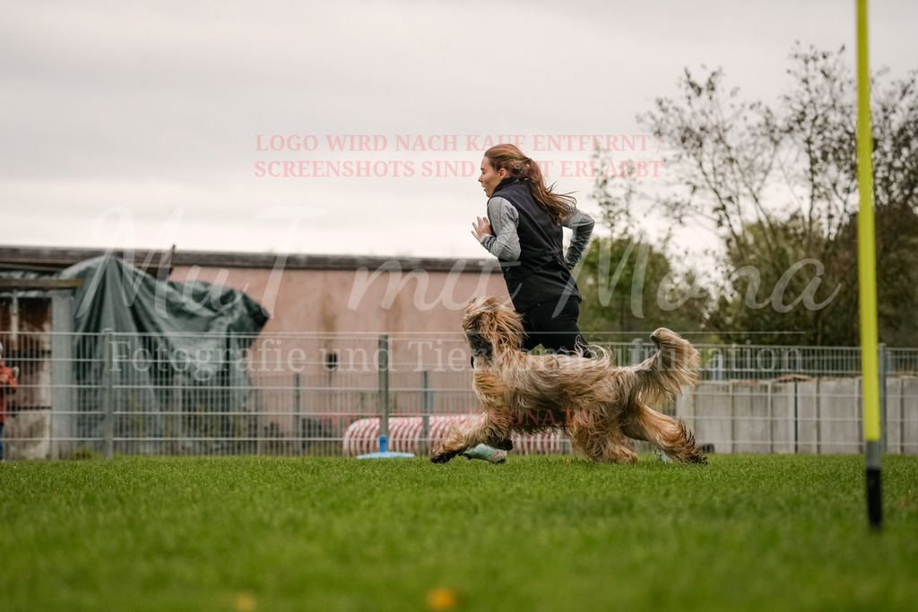 20251005_THS_Turnier-496 | MuT (Mensch und Tier) mit Mona - Fotografie und Tierkommunikation - Realisiert mit Pictrs.com