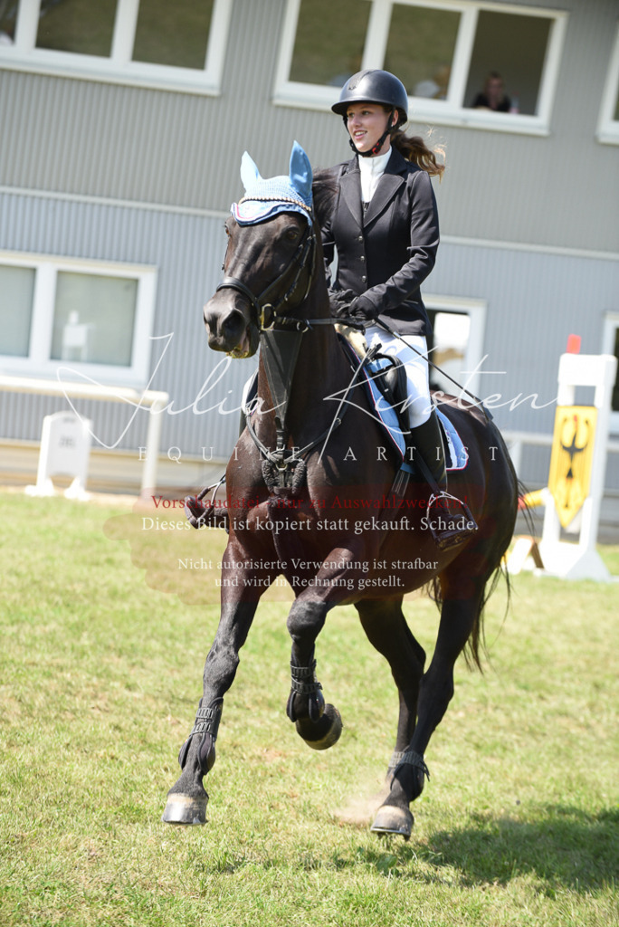 DSC_0048 | Pferde- und Turnierfotografie in Westsachsen. Pferdeportraits, Auftragszeichnungen und intuitive Kunst.