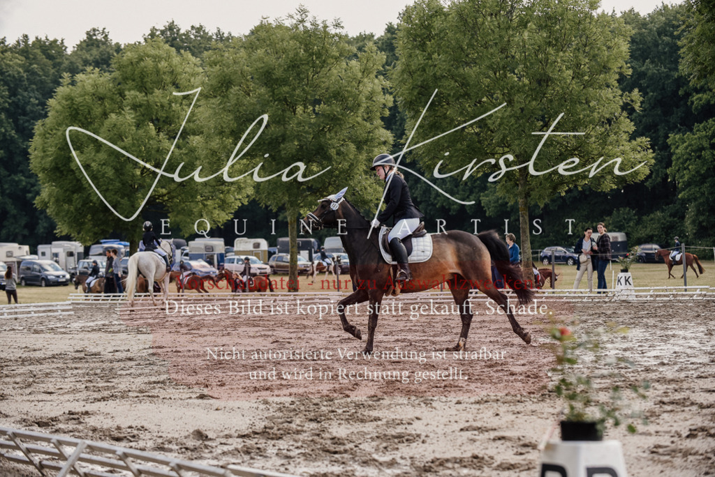 DSC_8192 | Pferde- und Turnierfotografie in Westsachsen. Pferdeportraits, Auftragszeichnungen und intuitive Kunst.