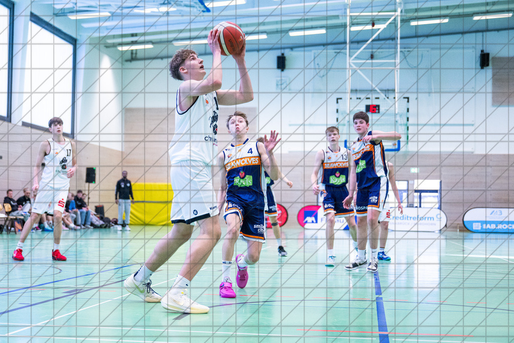 JBBL 24/25 | 19.01.2025 | Charisma Young Bulls vs. Rostock Seawolves | JBBL 24/25 | 19.01.2025 | Charisma Young Bulls vs. Rostock Seawolves - - - - - CREDIT, www.bullenfotos.de, Martin König, Hörner Weg 40, D-49078 Osnabrück, +4917663732967, Nutzung und Weitergabe nur zu den vereinbarten Zwecken. Presseanfragen an Urheber. Alle Rechte beim Urheber. - - - - - - Realisiert mit Pictrs.com