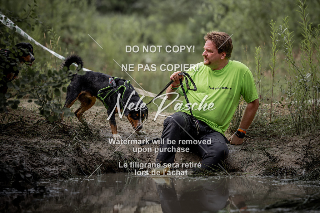 nelerasche_so0800-0930_142 | nelerasche
