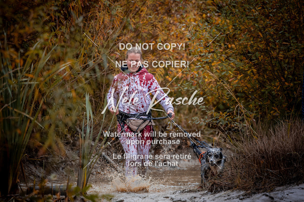 nelerasche_Creepy2025_Sa09-10_18 | nelerasche