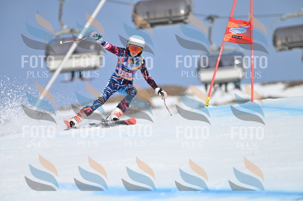 BGV_9891 | holidayphoto