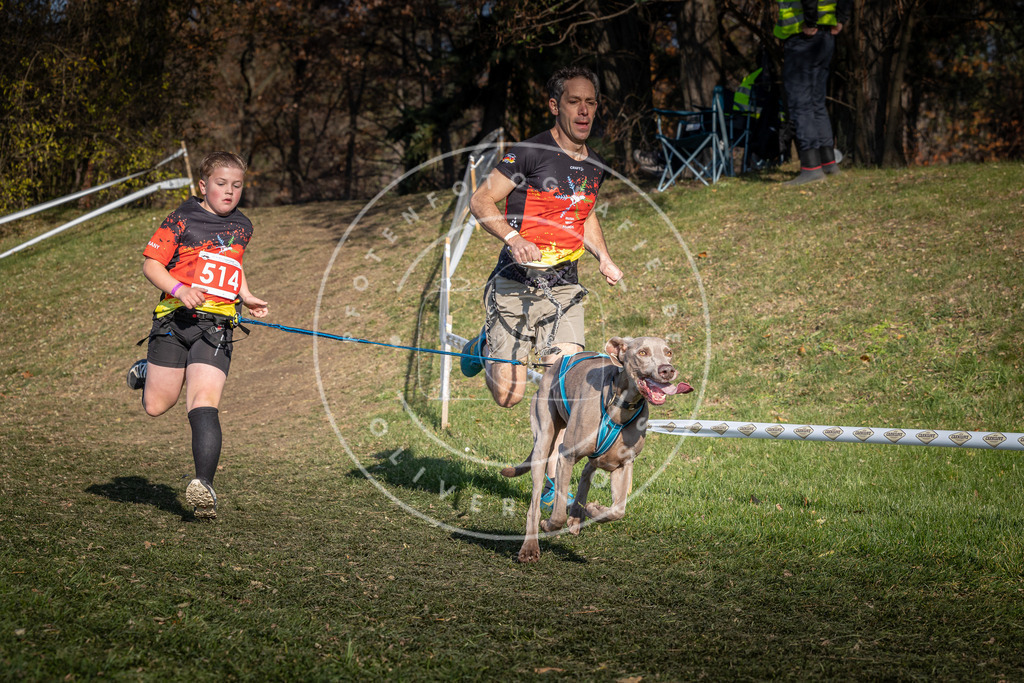 CaniXpix_0L8A8413 | Hundefotografie, Tierfotograf, Pfotenfotografie, Fotoshooting Hund, Hunde Portrait, Hundesport, Hundeportraits, Heideshooting, Hunde, Sportfotograf, Hundefotograf, Turnierhundsport, THS,  - Realisiert mit Pictrs.com